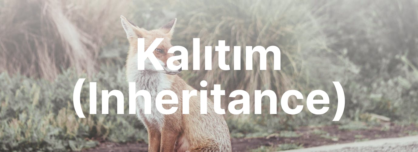 kalitim-inheritance-cover.jpg
